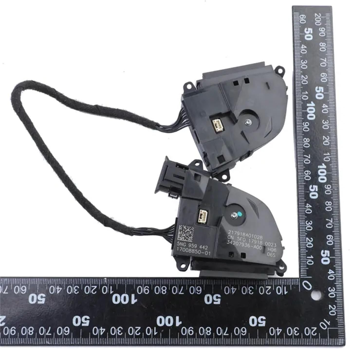 確認用【初売り】10 REZA産 イラン株 アガベ TARANTULA J*y様 F12000